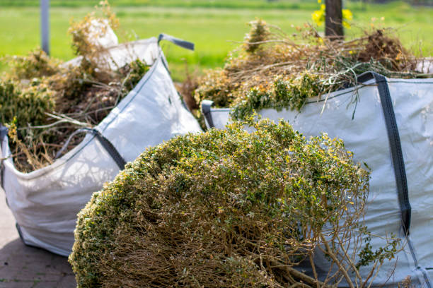 Best Carpet Removal and Disposal  in Monona, IA